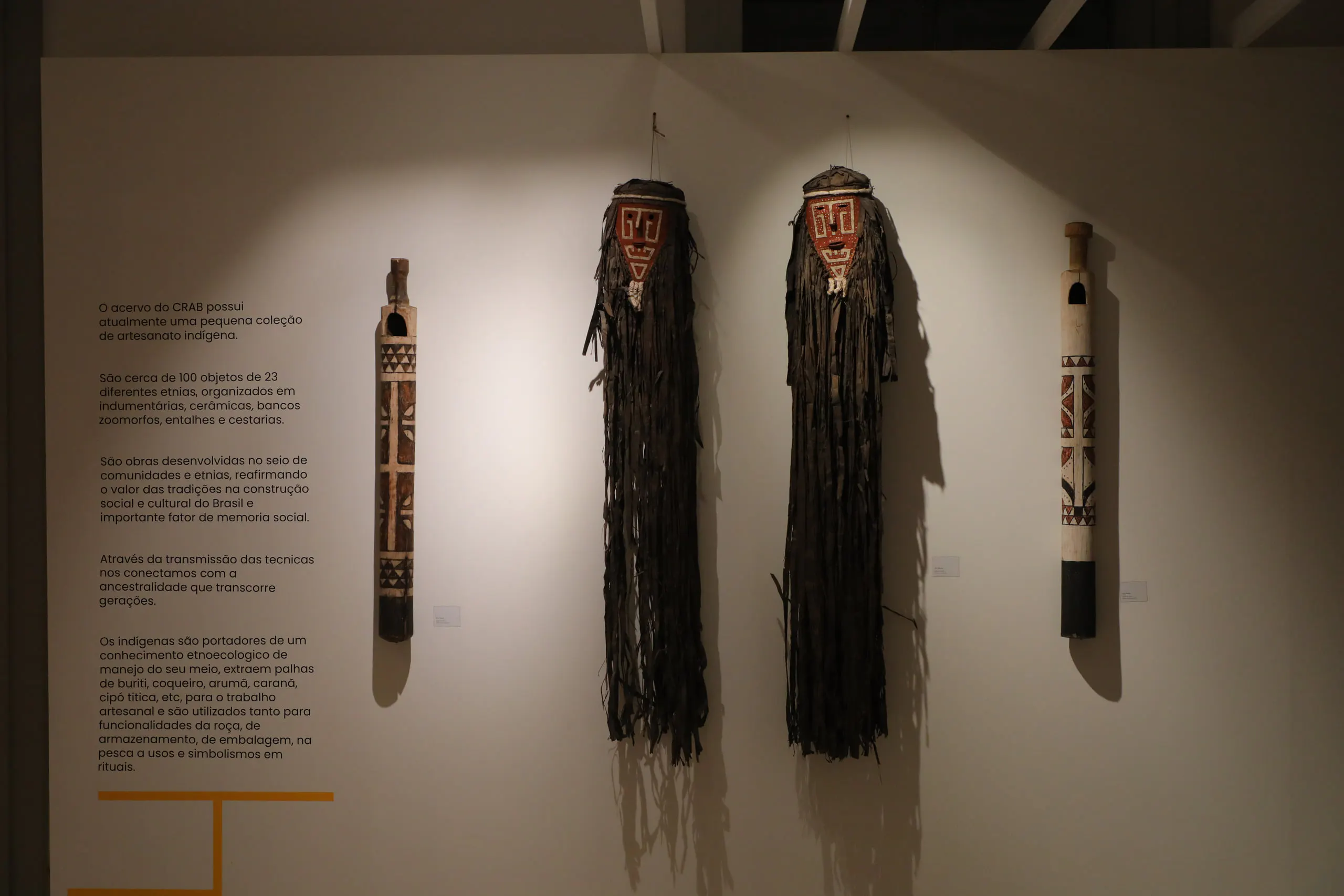 CRAB © Macieira (51)