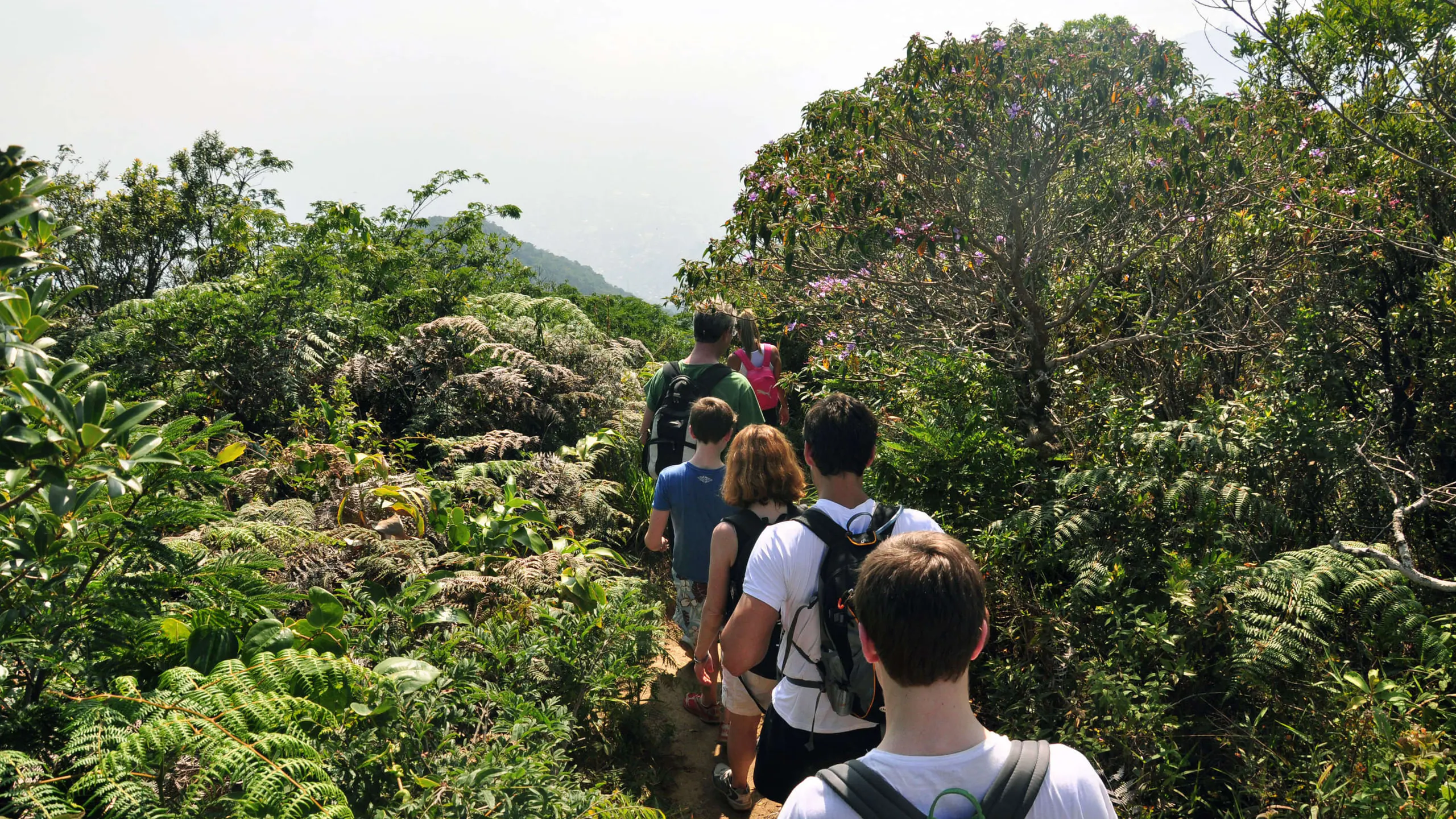 Tijuca