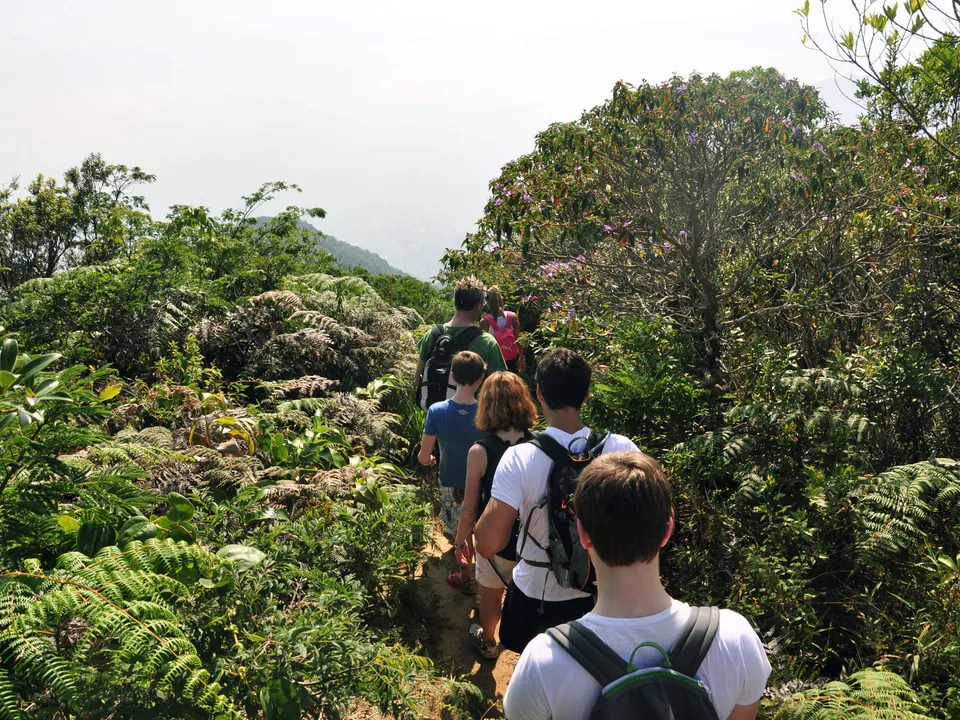 Tijuca