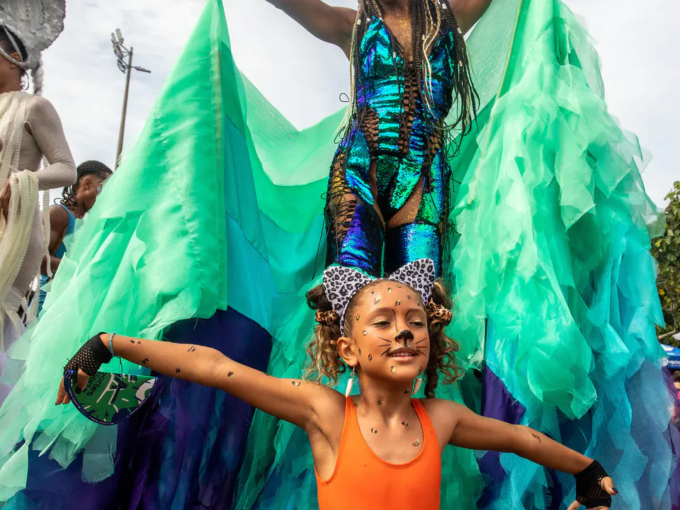 人生への博覧会は、民主主義のCarnavalに調子を与えます — 写真17