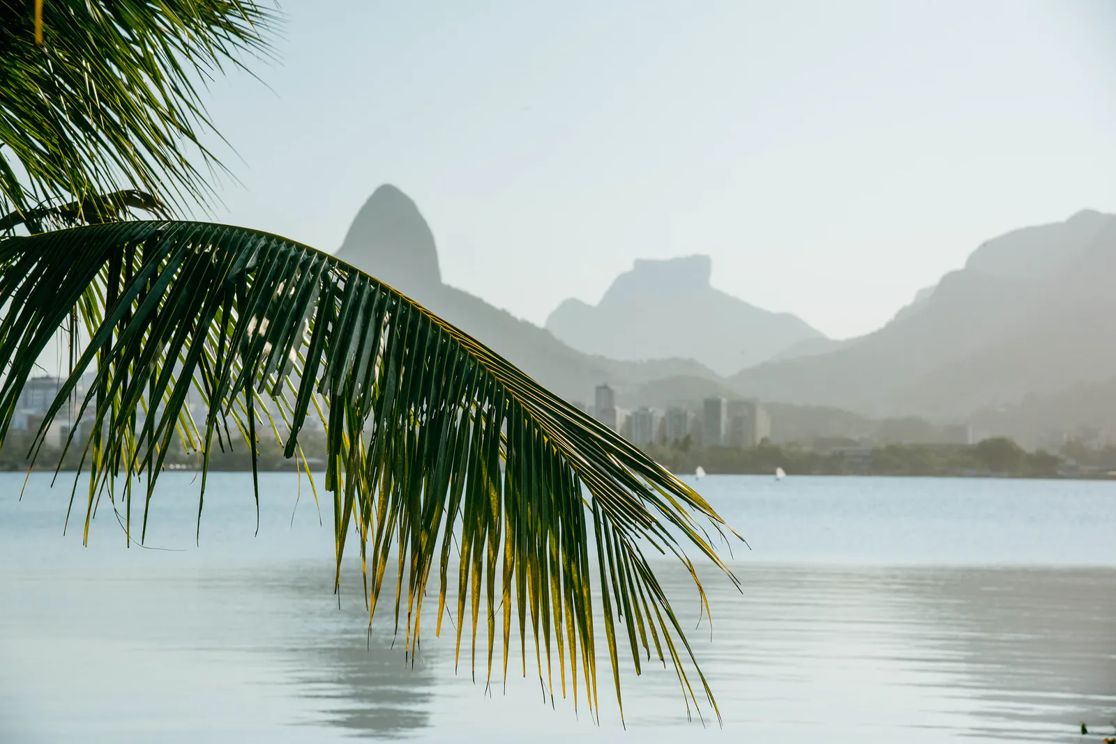 Lagoa Rodrigo de Freitas — 写真11