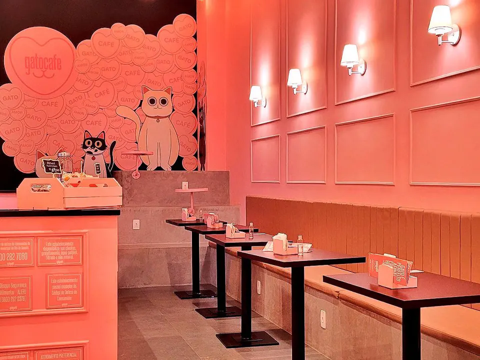 Gato Café — foto 6